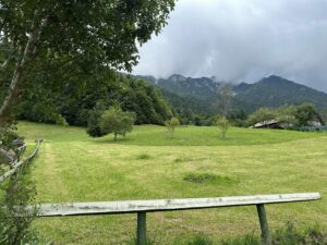 IMG_1549