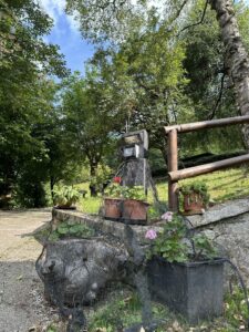 IMG_1706